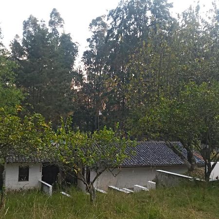 Quinta Los Eucaliptos Quito Exterior foto