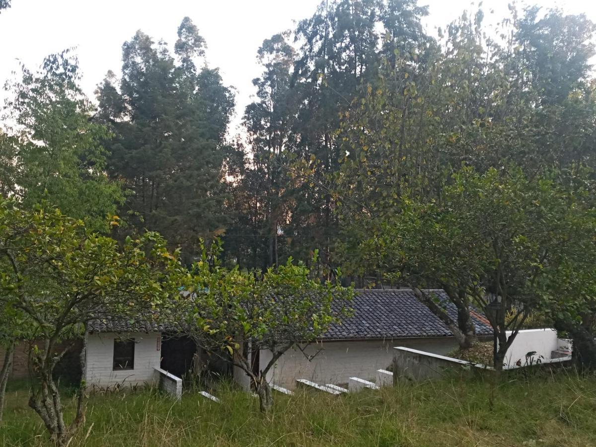 Quinta Los Eucaliptos Quito Exterior foto